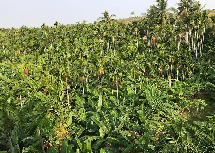 Alena Khách sạn Phan Thiết